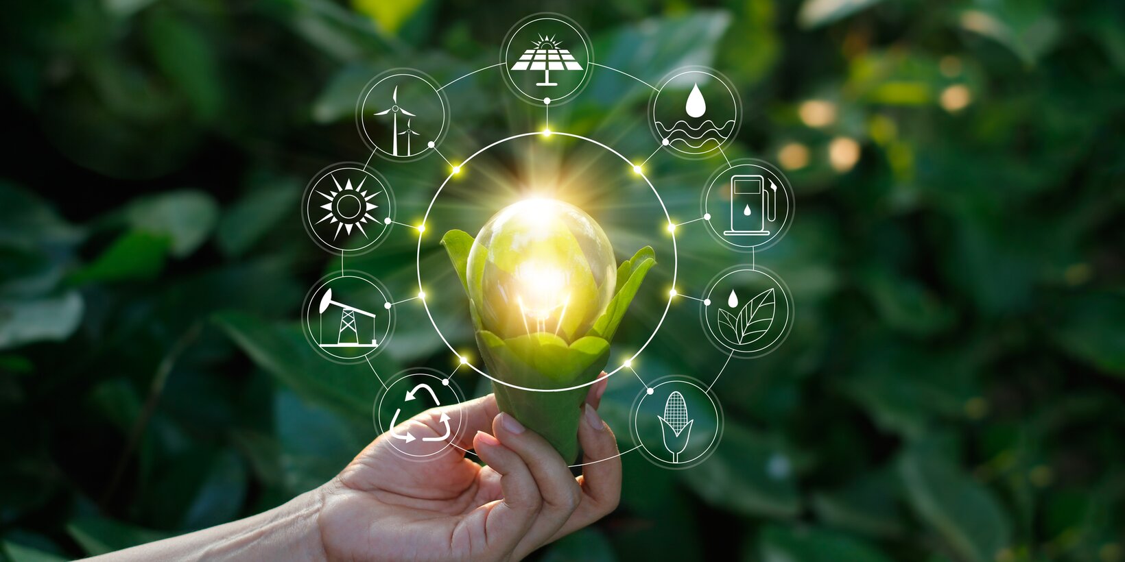 Sustainable light bulb in one hand in the background green nature | © iStock-1158790704