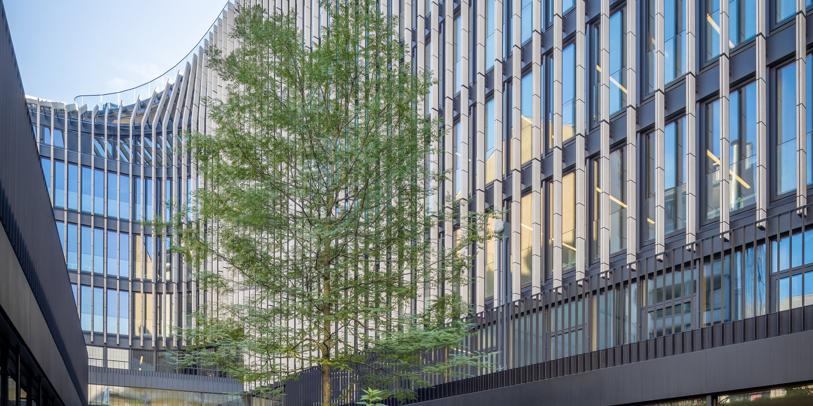 Ansicht des Innenhofs mit der Gebäudefassade