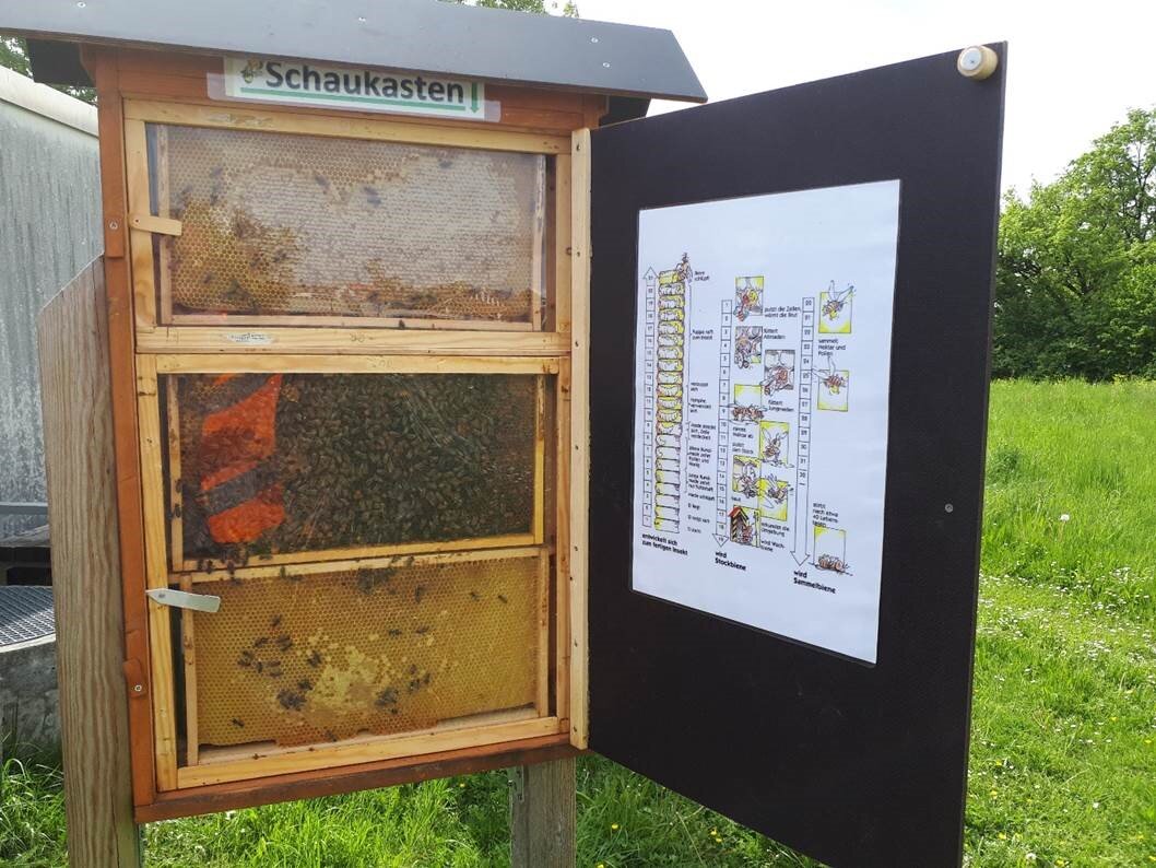 Projekt STEP-Grünland mit Schaukasten